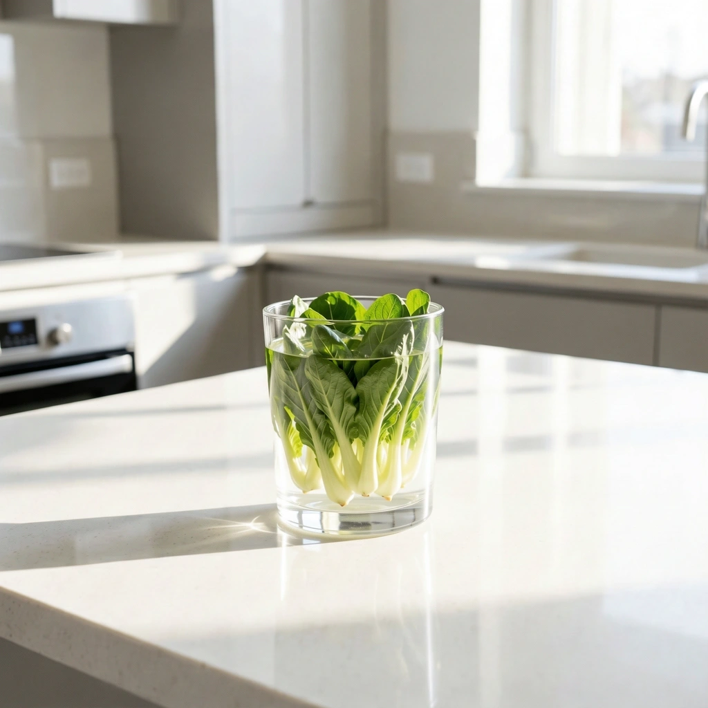 Professional Health Environment